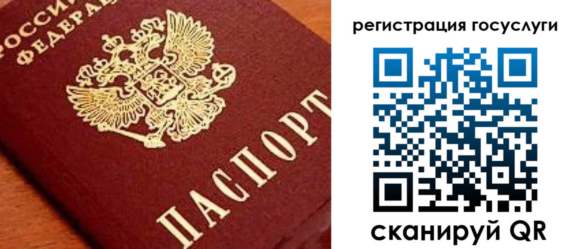 временная регистрация недорого в Гвардейске